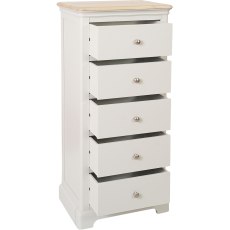 Ludlow Painted 5 Drawer Wellington Chest