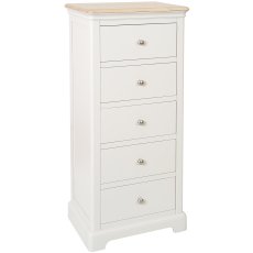 Ludlow Painted 5 Drawer Wellington Chest