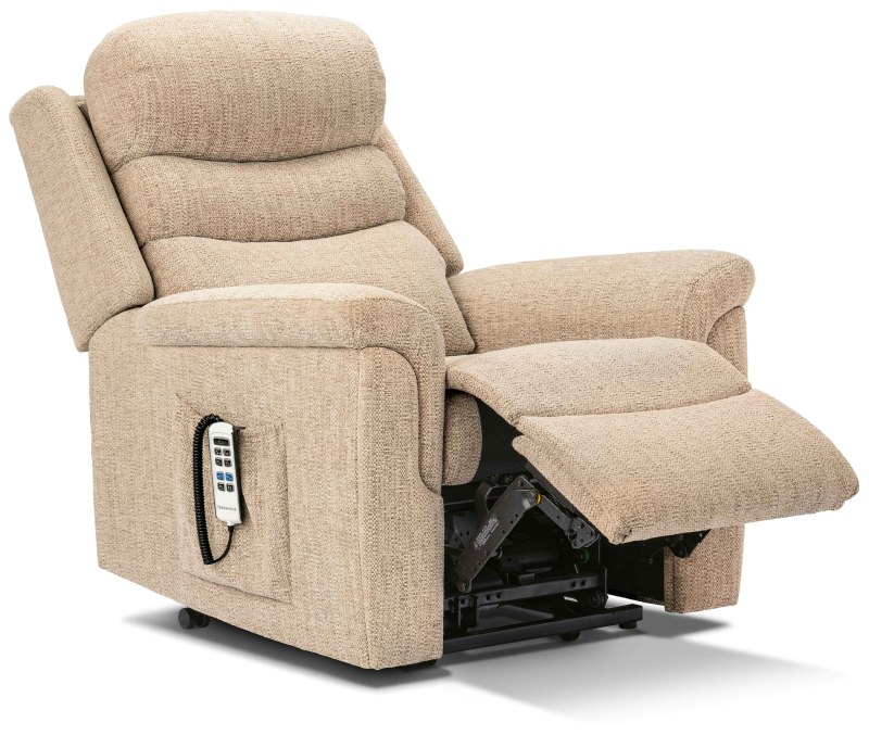 Std  Leyburn Riser Recliner pg39  F 