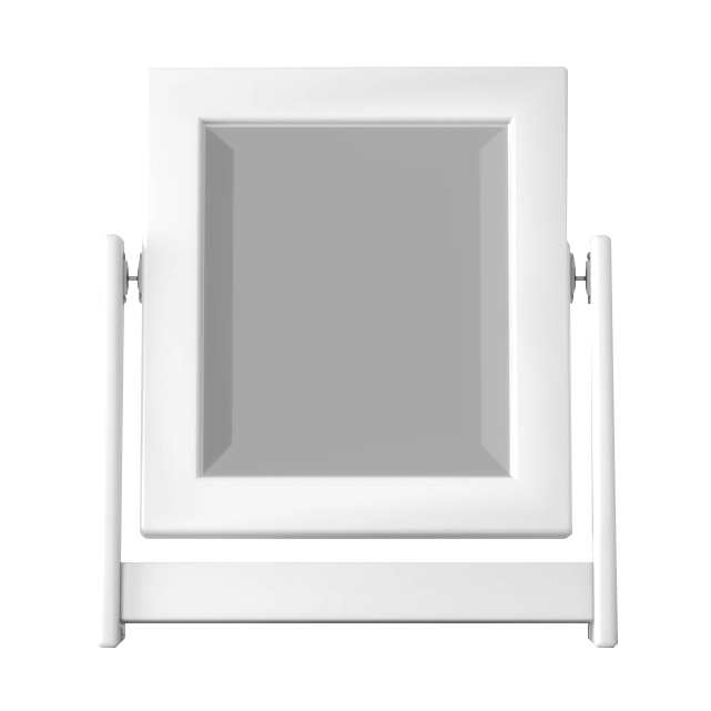 NEBM12   Small Swing Mirror