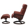 signature   paloma dark henna with black and brown stain 2