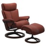signature   paloma dark henna with black and brown stain