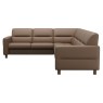 Fiona c23   velaro dark caramel 3