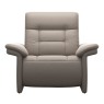 mary chair   paloma dark mushroom