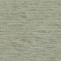 W019 Horizon Seagras