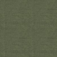 B281 Liso Kelp