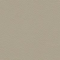 H001 Oxford Mushroom