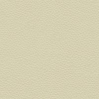 H002 Oxford Putty