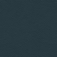 L851 Cambridge Navy