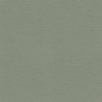 L858 Cambridge Olive
