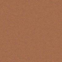 N001 Texas Tan