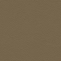 P216 Capri Mushroom