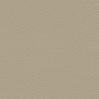 P219 Capri Putty