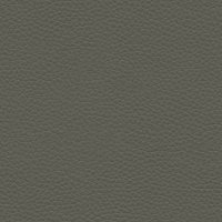 P222 Capri Grey