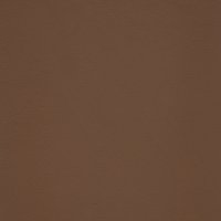 Warm Brown