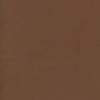 Dark Caramel