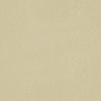 Mezzo Parchment