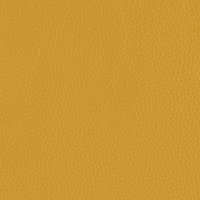 Mezzo Mustard