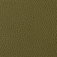 Mezzo Olive