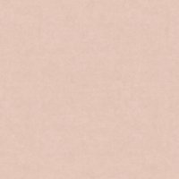 A213 Breeze Rose