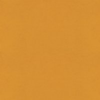 A907 Plush Tumeric