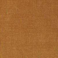 B199 Harmony Ochre